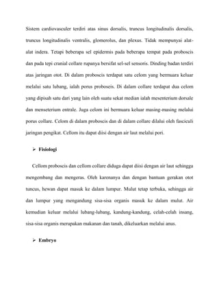 Sistem cardiovasculer terdiri atas sinus dorsalis, truncus longitudinalis dorsalis,

truncus longitudinalis ventralis, glomerolus, dan plexus. Tidak mempunyai alat-

alat indera. Tetapi beberapa sel epidermis pada beberapa tempat pada proboscis

dan pada tepi cranial collare rupanya bersifat sel-sel sensoris. Dinding badan terdiri

atas jaringan otot. Di dalam proboscis terdapat satu celom yang bermuara keluar

melalui satu lubang, ialah porus proboseis. Di dalam collare terdapat dua celom

yang dipisah satu dari yang lain oleh suatu sekat median ialah mesenterium dorsale

dan menseterium entrale. Juga celom ini bermuara keluar masing-masing melalui

porus collare. Celom di dalam proboscis dan di dalam collare dilalui oleh fasciculi

jaringan pengikat. Cellom itu dapat diisi dengan air laut melalui pori.


    Fisiologi


   Cellom proboscis dan cellom collare diduga dapat diisi dengan air laut sehingga

mengembang dan mengeras. Oleh karenanya dan dengan bantuan gerakan otot

tuncus, hewan dapat masuk ke dalam lumpur. Mulut tetap terbuka, sehingga air

dan lumpur yang mengandung sisa-sisa organis masuk ke dalam mulut. Air

kemudian keluar melalui lubang-lubang, kandung-kandung, celah-celah insang,

sisa-sisa organis merupakan makanan dan tanah, dikeluarkan melalui anus.


    Embryo
 