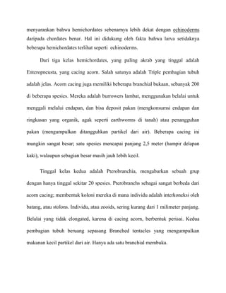 menyarankan bahwa hemichordates sebenarnya lebih dekat dengan echinoderms
daripada chordates benar. Hal ini didukung oleh fakta bahwa larva setidaknya
beberapa hemichordates terlihat seperti echinoderms.

      Dari tiga kelas hemichordates, yang paling akrab yang tinggal adalah

Enteropneusta, yang cacing acorn. Salah satunya adalah Triple pembagian tubuh

adalah jelas. Acorn cacing juga memiliki beberapa branchial bukaan, sebanyak 200

di beberapa spesies. Mereka adalah burrowers lambat, menggunakan belalai untuk

menggali melalui endapan, dan bisa deposit pakan (mengkonsumsi endapan dan

ringkasan yang organik, agak seperti earthworms di tanah) atau penangguhan

pakan (mengumpulkan ditangguhkan partikel dari air). Beberapa cacing ini

mungkin sangat besar; satu spesies mencapai panjang 2,5 meter (hampir delapan

kaki), walaupun sebagian besar masih jauh lebih kecil.


      Tinggal kelas kedua adalah Pterobranchia, mengaburkan sebuah grup

dengan hanya tinggal sekitar 20 spesies. Pterobranchs sebagai sangat berbeda dari

acorn cacing; membentuk koloni mereka di mana individu adalah interkoneksi oleh

batang, atau stolons. Individu, atau zooids, sering kurang dari 1 milimeter panjang.

Belalai yang tidak elongated, karena di cacing acorn, berbentuk perisai. Kedua

pembagian tubuh beruang sepasang Branched tentacles yang mengumpulkan

makanan kecil partikel dari air. Hanya ada satu branchial membuka.
 