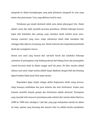 mengarah ke dalam kerongkongan yang pada gilirannya mengarah ke usus yang

utama situs pencernaan. Usus yang akhirnya lead ke anus.


      Pertukaran gas terjadi diseluruh tubuh serta dalam pharyngeal slits. Darah

adalah warna dan tidak memiliki pewarna pernafasan. Melalui beberapa hewan's

kapal oleh kekalahan dari jantung yang memaksa darah melalui pusat sinus.

Jantung constricts yang sinus, tetapi sebenarnya darah tidak masukkan hati

sehingga tidak diproses di jantung rasa. Darah melewati dua longitudinal pembuluh

darah dan serangkaian sinuses.

Sistem urat saraf yang berasal dari sub-kulit bersih dan ketebalan beberapa

sentimeter di pertengahan sirip belakang daerah dari hidung besar dan pertengahan

ventral kawasan trunk ke dalam rongga saraf tali pusat. Di leher mereka adalah

raksasa serat saraf, tetapi mereka adalah fungsi dipahami dengan baik dan binatang

dapat bertahan hidup layak baik tanpa mereka.


      Reproduksi dapat terjadi sebagai akibat fragmentasi tubuh orang dewasa,

tetapi biasanya melibatkan dua jenis kelamin dan telur fertilisation. Kedua jenis

kelamin memiliki banyak gonads dan fertilisation adalah eksternal. Perempuan

yang menolak telur massa ke permukaan pada substrat dari mereka dalam Burrows

(2000 ke 3000 telur sekaligus). Laki-laki yang juga melepaskan mereka ke dalam

air mani, sperma yang berenang dan mencari telur itu adalah mereka mendeteksi
 