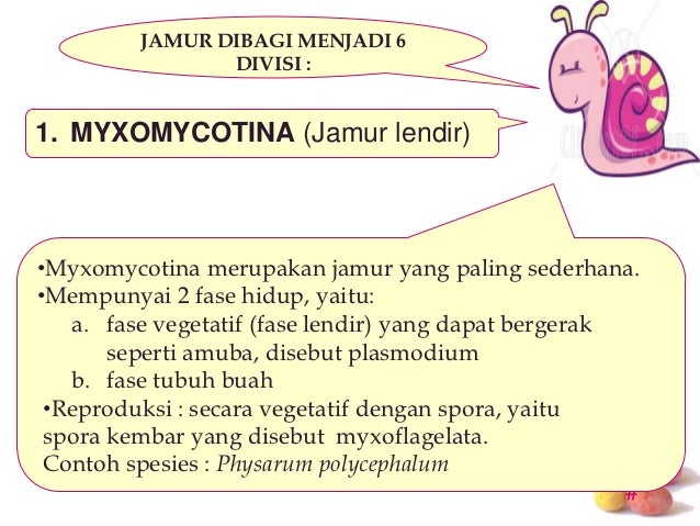 Kelompok 3