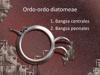Ordo-ordo diatomeae
1. Bangsa centrales
2. Bangsa pennales
 