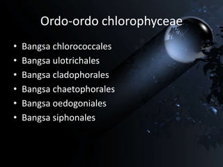 Ordo-ordo chlorophyceae
• Bangsa chlorococcales
• Bangsa ulotrichales
• Bangsa cladophorales
• Bangsa chaetophorales
• Bangsa oedogoniales
• Bangsa siphonales
 