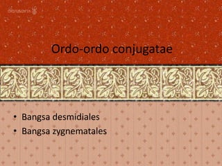 Ordo-ordo conjugatae
• Bangsa desmidiales
• Bangsa zygnematales
 