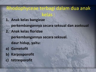 Rhodophyceae terbagi dalam dua anak
kelas :
1. Anak kelas bangieae
perkembangannya secara seksual dan aseksual
2. Anak kelas floridae
perkembangannya secara seksual.
daur hidup, yaitu:
a) Gametofit
b) Karposporofit
c) tetrasporofit
 