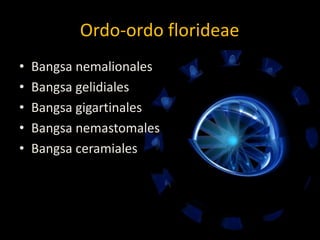 Ordo-ordo florideae
• Bangsa nemalionales
• Bangsa gelidiales
• Bangsa gigartinales
• Bangsa nemastomales
• Bangsa ceramiales
 