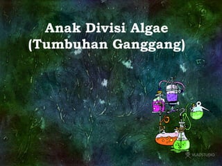 Anak Divisi Algae
(Tumbuhan Ganggang)
 