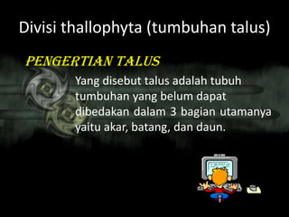 Divisi thallophyta (tumbuhan talus)
pengertian talus
Yang disebut talus adalah tubuh
tumbuhan yang belum dapat
dibedakan dalam 3 bagian utamanya
yaitu akar, batang, dan daun.
 