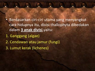 • Berdasarkan ciri-ciri utama yang menyangkut
cara hidupnya itu, divisi thallophyta dibedakan
dalam 3 anak divisi,yaitu:
1. Ganggang (algae)
2. Cendawan atau jamur (fungi)
3. Lumut kerak (lichenes)
 