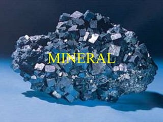 MINERAL 
 