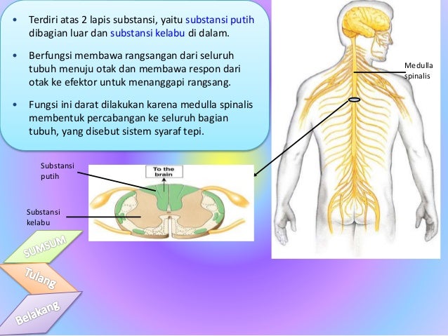 Kelompok 3 40992645