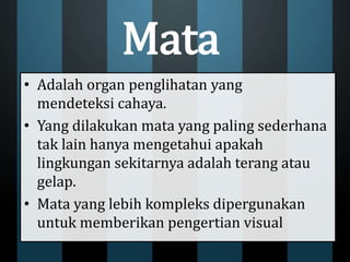 Mata
• Adalah organ penglihatan yang
mendeteksi cahaya.
• Yang dilakukan mata yang paling sederhana
tak lain hanya mengetahui apakah
lingkungan sekitarnya adalah terang atau
gelap.
• Mata yang lebih kompleks dipergunakan
untuk memberikan pengertian visual
 