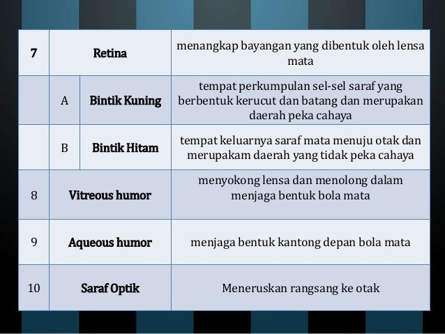 Indra Mata Dan Kulit
