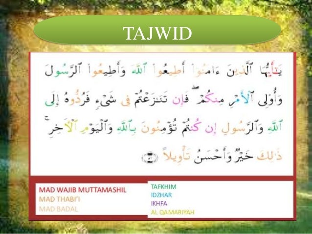 Tajwid An Nisa Ayat 59