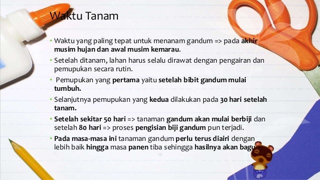 Budidaya Tanaman Gandum Pdf Reader Budidaya Tanaman Gandum Pdf Reader