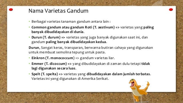 Budidaya Usaha Tanaman Pangan Gandum