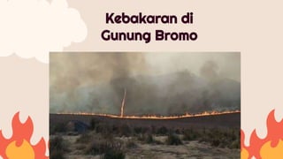 Kebakaran di
Gunung Bromo
 