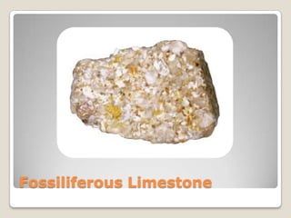 Fossiliferous Limestone

 