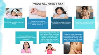 TANDA DAN GEJALA DBD
Penderita mengalami demam
tinggi.
Penderita mengalami
pendarahan atau bintik-bintik
merah pada kulit.
Penderita mengalami keluhan
pada saluran pernapasan.
Penderita mengalami keluhan
pada saluran pencernaan.
Penderita biasanya
merasakan sakit pada waktu
menelan.
Penderita mengalami keluhan
pada bagian tubuh yang lain,
misalnya nyeri atau sakit
kepala, nyeri pada otot,
tulang, sendi dan ulu hati,
serta pegal-pegal di seluruh
tubuh.
Penderita dapat mengalami
pembesaran hati, limpa dan
kelenjar getah bening, yang
akan kembali normal pasa
masa penyembuhan.
 