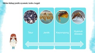 Siklus hidup jentik nyamuk Aedes Aegpti
Telur Jentik Kepompong
Nyamuk
dewasa
 