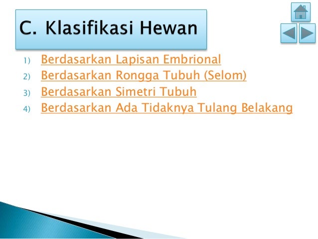 Kelompok 3 hewan