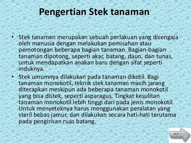 tanaman hias tanaman hias