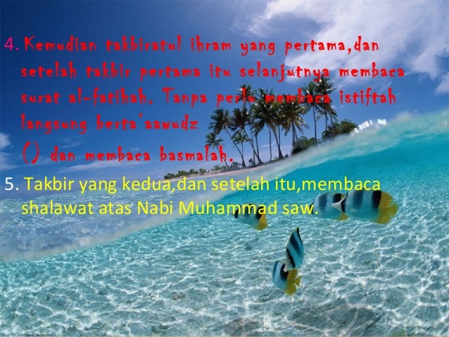 Kelompok 3 (xi 2) tata cara merawat jenazah