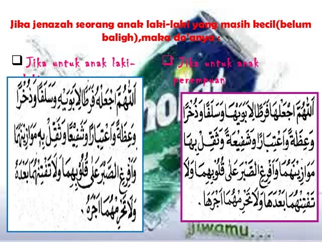 Kelompok 3 (xi 2) tata cara merawat jenazah