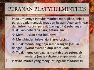 PERANAN PLATYHELMINTHES
 Pada umumnya Platyhelminthes merugikan, sebab
parasit pada manusia maupun hewan. Agar terhindar
dari infeksi cacing parasit (cacing pita) sebaiknya
dilakukan beberapa cara, antara lain:
➪ Memutuskan daur hidupnya,
➪ Menghindari infeksi dari larva cacing,
➪ Tidak membuang tinja sembarangan (sesuai
dengan syarat-syarat hidup sehat),dan
➪ Tidak memakan daging mentah atau setengah
matang (masak daging sampai matang).
 Platyhelmintes yang menguntungkan: Planaria sp
 