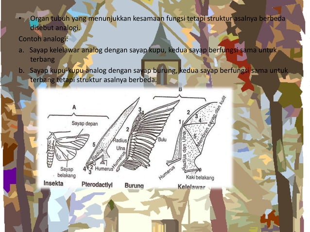 teori evolusi dan petunjuk adanya evolusi | PPT