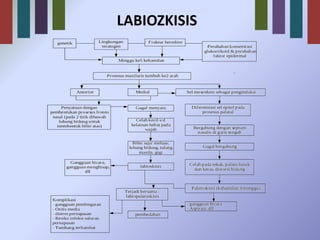 LABIOZKISIS 
 