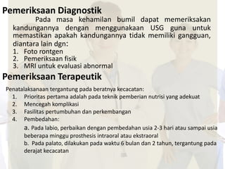 Pemeriksaan Diagnostik 
Pada masa kehamilan bumil dapat memeriksakan 
kandungannya dengan menggunakaan USG guna untuk 
memastikan apakah kandungannya tidak memiliki gangguan, 
diantara lain dgn: 
1. Foto rontgen 
2. Pemeriksaan fisik 
3. MRI untuk evaluasi abnormal 
Pemeriksaan Terapeutik 
Penatalaksanaan tergantung pada beratnya kecacatan: 
1. Prioritas pertama adalah pada teknik pemberian nutrisi yang adekuat 
2. Mencegah komplikasi 
3. Fasilitas pertumbuhan dan perkembangan 
4. Pembedahan: 
a. Pada labio, perbaikan dengan pembedahan usia 2-3 hari atau sampai usia 
beberapa minggu prosthesis intraoral atau ekstraoral 
b. Pada palato, dilakukan pada waktu 6 bulan dan 2 tahun, tergantung pada 
derajat kecacatan 
 