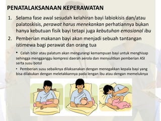 PENATALAKSANAAN KEPERAWATAN 
1. Selama fase awal sesudah kelahiran bayi labiokisis dan/atau 
palatoskisis, perawat harus menekankan perhatiannya bukan 
hanya kebutuan fisik bayi tetapi juga kebutuhan emosional ibu 
2. Pemberian makanan bayi akan menjadi sebuah tantangan 
istimewa bagi perawat dan orang tua 
• Celah bibir atau palatum akan mengurangi kemampuan bayi untuk menghisap 
sehingga mengganggu kompresi daerah aerola dan menyulitkan pemberian ASI 
serta susu botol 
• Pemberian susu sebaiknya dilaksanakan dengan menegakkan kepala bayi yang 
bisa dilakukan dengan meletakkannya pada lengan ibu atau dengan memeluknya 
 