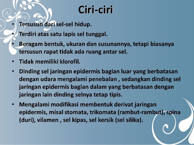 Jaringan Tumbuhan Kelompok 4