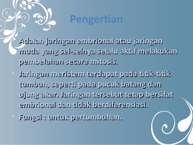 Jaringan Tumbuhan Kelompok 4 Jaringan Tumbuhan Kelompok 4