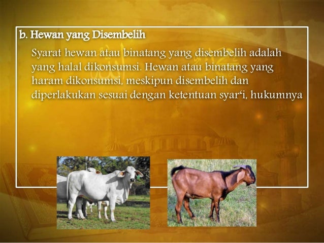 Akikah Dan Kurban