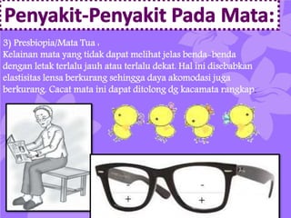 3) Presbiopia/Mata Tua : 
Kelainan mata yang tidak dapat melihat jelas benda-benda 
dengan letak terlalu jauh atau terlalu dekat. Hal ini disebabkan 
elastisitas lensa berkurang sehingga daya akomodasi juga 
berkurang. Cacat mata ini dapat ditolong dg kacamata rangkap. 
 
