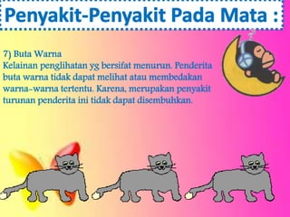 7) Buta Warna 
Kelainan penglihatan yg bersifat menurun. Penderita 
buta warna tidak dapat melihat atau membedakan 
warna-warna tertentu. Karena, merupakan penyakit 
turunan penderita ini tidak dapat disembuhkan. 
 