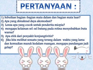 1) Sebutkan bagian-bagian mata dalam dan bagian mata luar? 
2) Apa yang dimaksud daya akomodasi? 
3) Lensa apa yang cocok untuk penderita miopia? 
4) mengapa kelainan sel-sel batang pada retina menyebabkan buta 
warna? 
5) Apa efek dari penyakit konjungtivitis? 
6) Jika kita melihat sesuatu yang terang dalam waktu yang lama 
dan kemudian masuk kedalam ruangan, mengapa pandangan jadi 
gelap? 
 