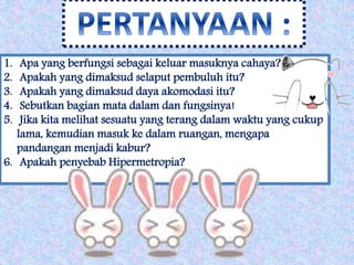 1. Apa yang berfungsi sebagai keluar masuknya cahaya? 
2. Apakah yang dimaksud selaput pembuluh itu? 
3. Apakah yang dimaksud daya akomodasi itu? 
4. Sebutkan bagian mata dalam dan fungsinya! 
5. Jika kita melihat sesuatu yang terang dalam waktu yang cukup 
lama, kemudian masuk ke dalam ruangan, mengapa 
pandangan menjadi kabur? 
6. Apakah penyebab Hipermetropia? 
 
