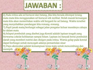 6) Pada retina ada sel kerucut dan batang. Jika kita berada ditempat terang 
mata mata kita menggunakan sel kurucut utk melihat. Stelah masuk keruangan 
mata kita akan memerlukan waktu utk berganti ke sel batang. Waktu tersebut 
yang menyebabkan pandangan kita remang-remang. 
7) Pupil (anak mata) berfungsi sebagai jalan pengatur keluar masuknya cahaya 
ke dalam mata. 
8) Selaput pembuluh yang disebut juga Koroid adalah lapisan tengah yang 
berwarna cokelat kehitaman sampai hitam. Lapisan ini banyak berisi pembuluh 
darah yang memberi nutrisi dan oksigen pada retina. Warna gelap pada koroid 
dapat berfungsi untuk mencegah adanya pemantulan sinar 
9) Daya akomodasi adalah kemampuan lensa mata untuk mencembung dan 
memipih. 
 