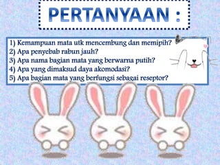 1) Kemampuan mata utk mencembung dan memipih? 
2) Apa penyebab rabun jauh? 
3) Apa nama bagian mata yang berwarna putih? 
4) Apa yang dimaksud daya akomodasi? 
5) Apa bagian mata yang berfungsi sebagai reseptor? 
 