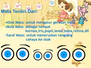 Mata Terdiri Dari: 
Otot Mata: untuk mengatur gerakan mata 
Bola Mata: sebagai tempat 
kornea,iris,pupil,lensa mata,retina,dll 
•Saraf Mata: untuk meneruskan rangsang 
cahaya ke otak 
 