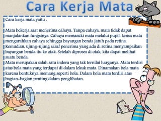 Cara kerja mata yaitu : 
Mata bekerja saat menerima cahaya. Tanpa cahaya, mata tidak dapat 
manjalankan fungsinya. Cahaya memasuki mata melalui pupil. Lensa mata 
mengarahkan cahaya sehingga bayangan benda jatuh pada retina. 
Kemudian, ujung-ujung saraf penerima yang ada di retina menyampaikan 
bayangan benda itu ke otak. Setelah diproses di otak, kita dapat melihat 
suatu benda. 
Mata merupakan salah satu indera yang tak ternilai harganya. Mata terdiri 
atas bola mata yang terdapat di dalam lekuk mata. Dinamakan bola mata 
karena bentuknya memang seperti bola. Dalam bola mata terdiri atas 
bagian-bagian penting dalam penglihatan. 
 