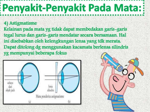 Indera Manusia