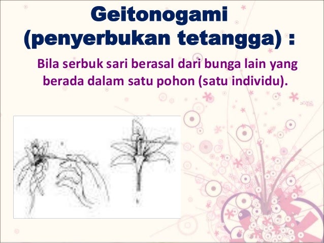 Pertumbuhan Generatif pada Tanaman