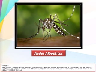 Aedes Albopticus
Sumber :
http://elib.fk.uwks.ac.id/asset/archieve/jurnal/Vol%20Edisi%20Khusus%20Desember%202010/PATOGENESIS%20INFEKSI
%20VIRUS%20DENGUE.pdf
 