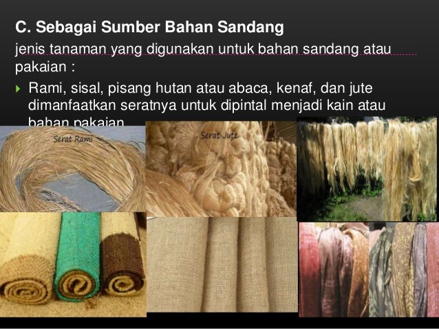 Dapatkan Inspirasi Untuk Jenis Tumbuhan Untuk Bahan