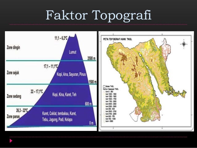 Bab 1 Flora Dan Fauna Geografi Kelas Xi