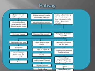 Penyakit mata lain
(Trauma, uveltis)
Kelainan anatomis, kegagalan
perkembangan organ mata
Glukoma sudut terbuka
(Obstruksi aliran aqueus
humor) dan glaucoma sudut
tertutup ( aqueus humor
terganggu)Penyempitan sudut
mata/obstruksi aliran
drainage aqueus humor
Gangguan aliran drainase
Nyeri mata di kepala Peningkatan tekanan intra
okulet (TIO)
Bola mata terlihat menonjol
Tekanan pada saraf vagus Tekanan pembuluh darah
diretina
Tekanan pada sel ganglion
dan saraf optik
Mual muntah
Gangguan citra tubuh
Ketidakseimbangan
nutrusi kurang dari
kebutuhan tubuh
Suplai O2 kemata Kerusakan retina, gangguan
fungsi penglihatan
Nyeri
Iskemik
Penurunan fungsi
penglihatan, penurunan
lapang pandang, fotofobia
Resiko cidera
Resiko retinopati (kebutaan)
Gangguan persepsi
Kebutaan
 