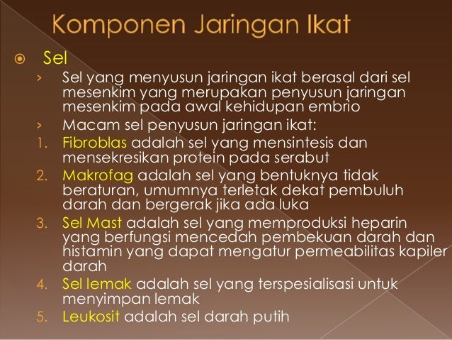 Kelompok 4 struktur jaringan sel hewan